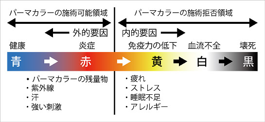 頭皮と毛髪の知識